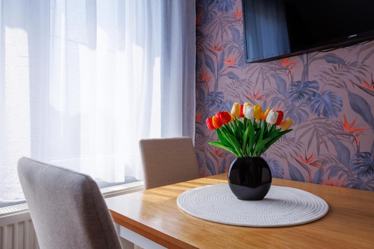 Apartmani Nina Golubăţ Exterior foto