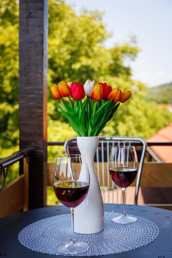 Apartmani Nina Golubăţ Exterior foto